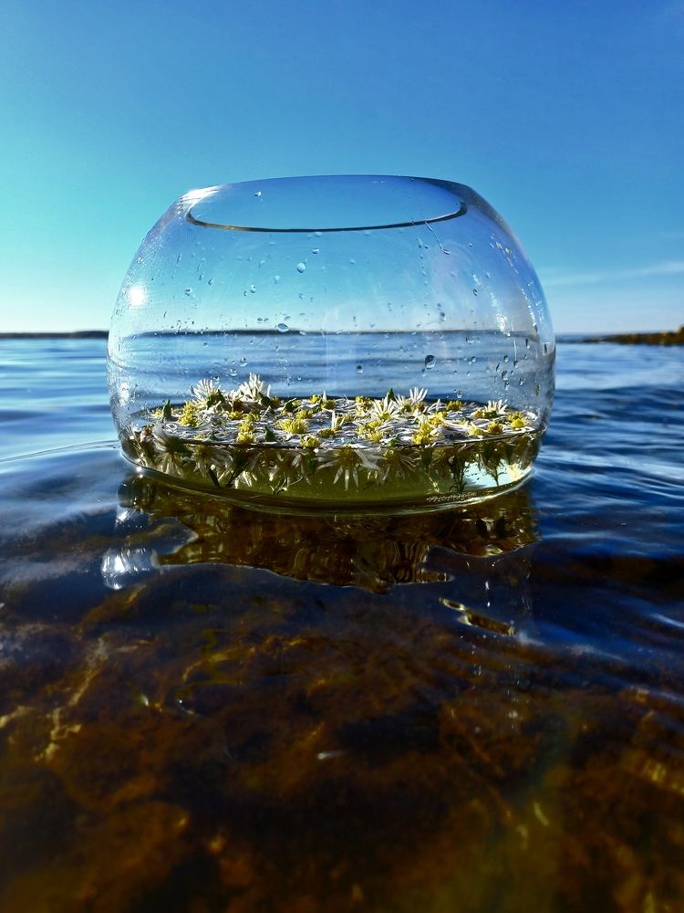 Photograph by Зоя