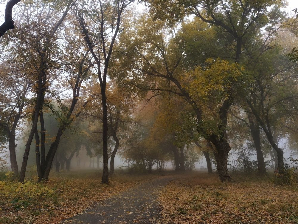 Photograph by Александр Гром