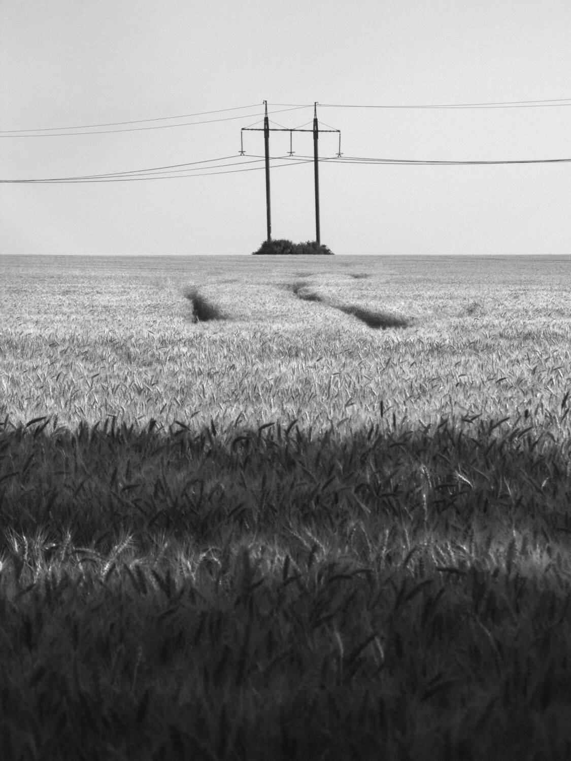 Photo #7200959