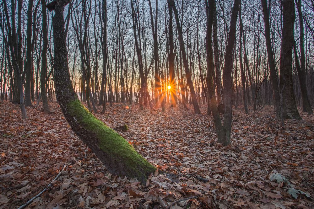 Фотография автора Владислав Марухин