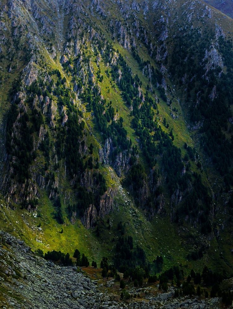 Photograph by Аня Носкова-Данцер