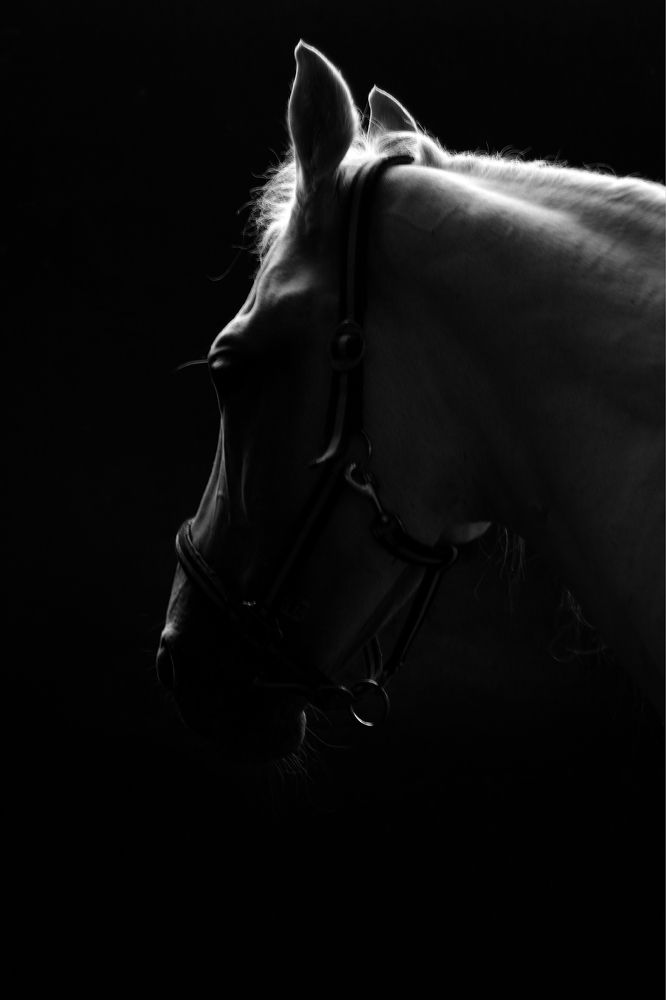 Photograph by Подольская Елена