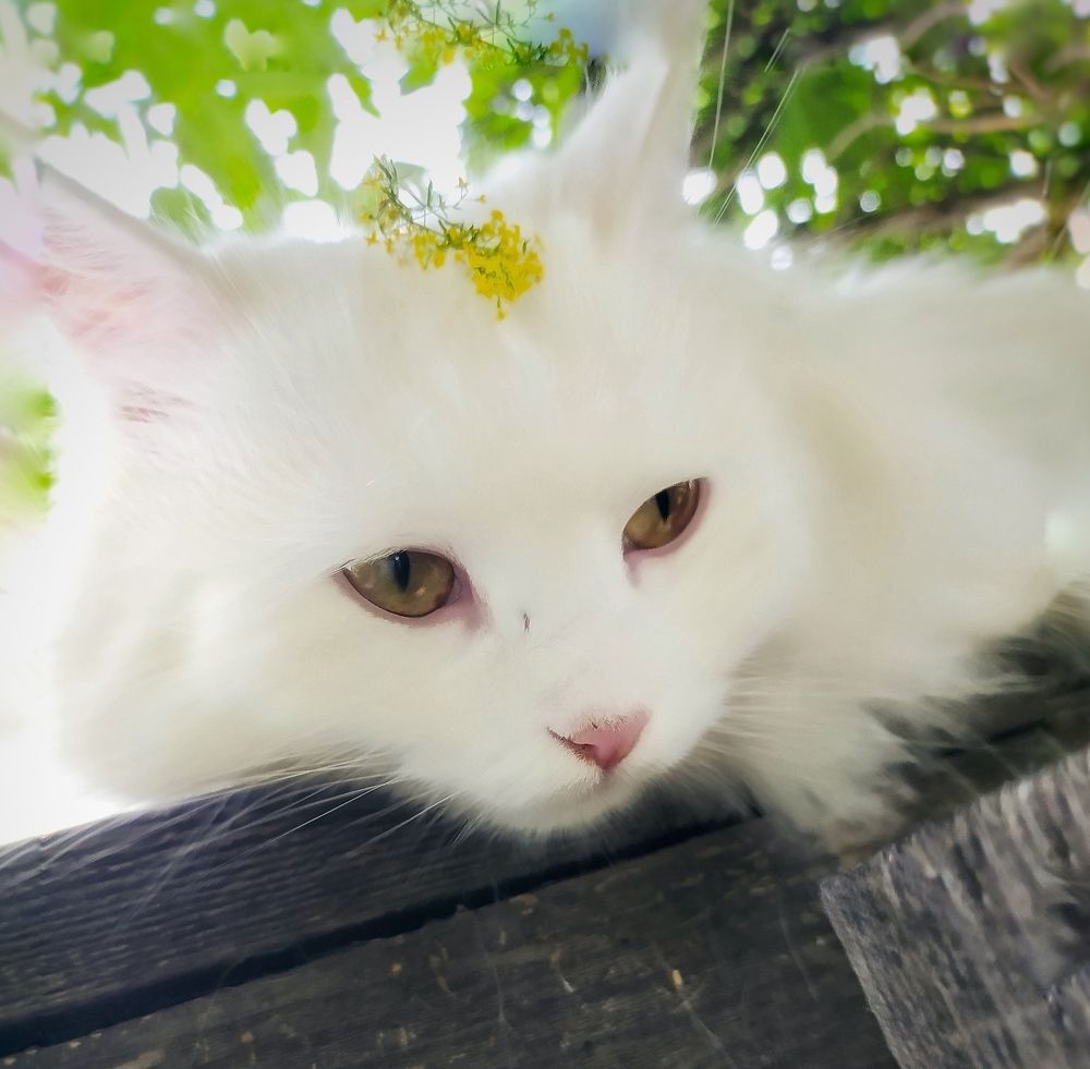 Photograph by Буланцев Ольга Борисовна