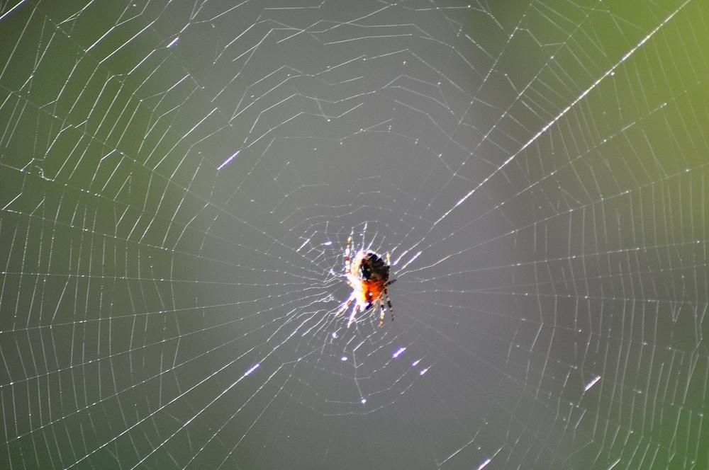 Photograph by Николай Николаевич Леухин