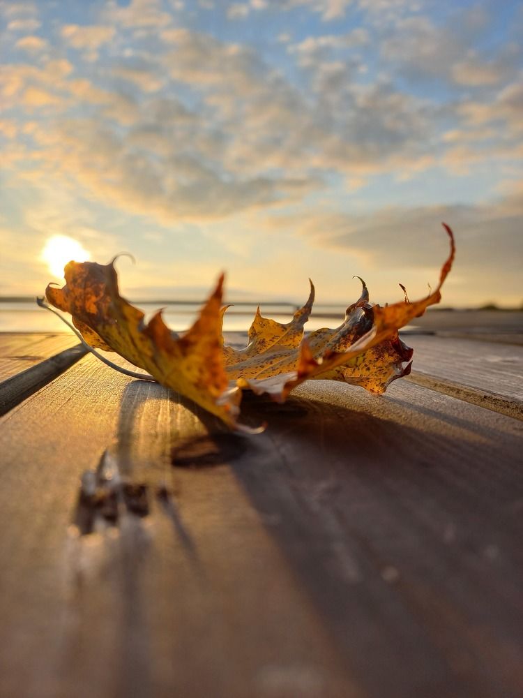 Photograph by Зоя