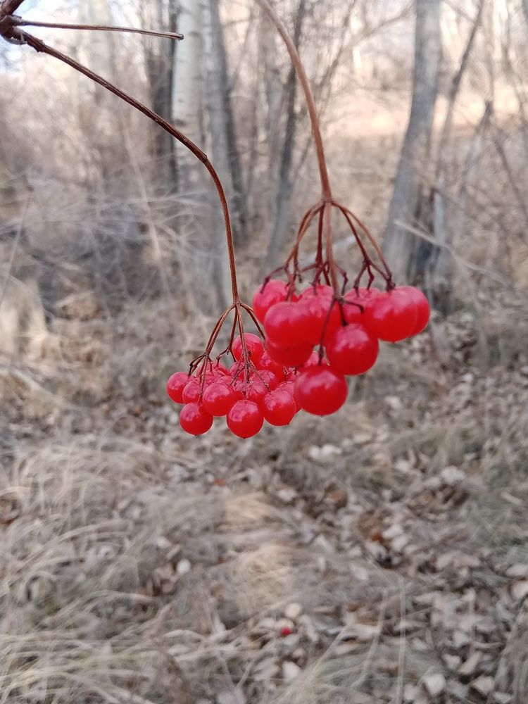 Photo #7201106