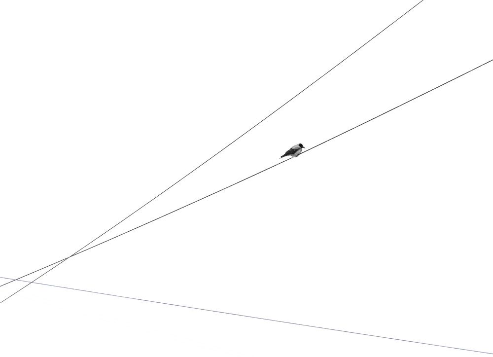 Photograph by Ольга Мазлова