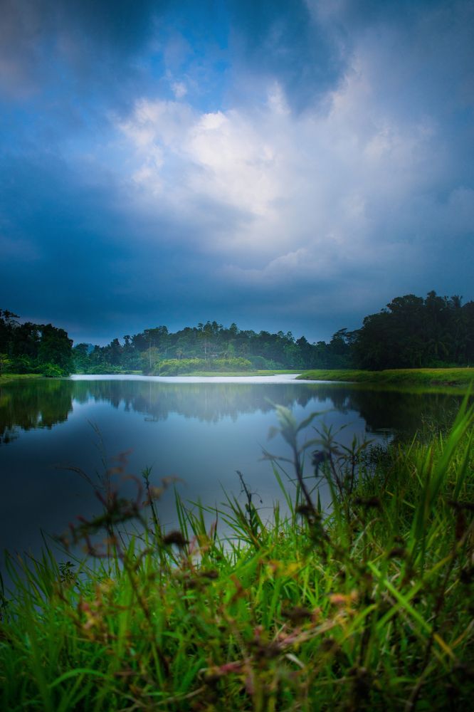 Photograph by Hewage K-vin R