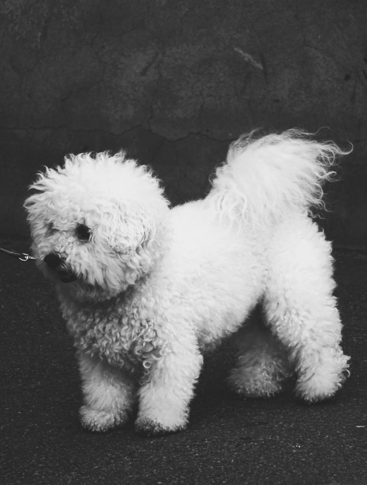 Photograph by Мария Смирнова