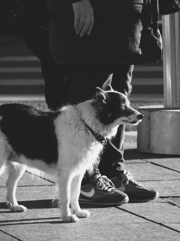 Photograph by Мария Смирнова