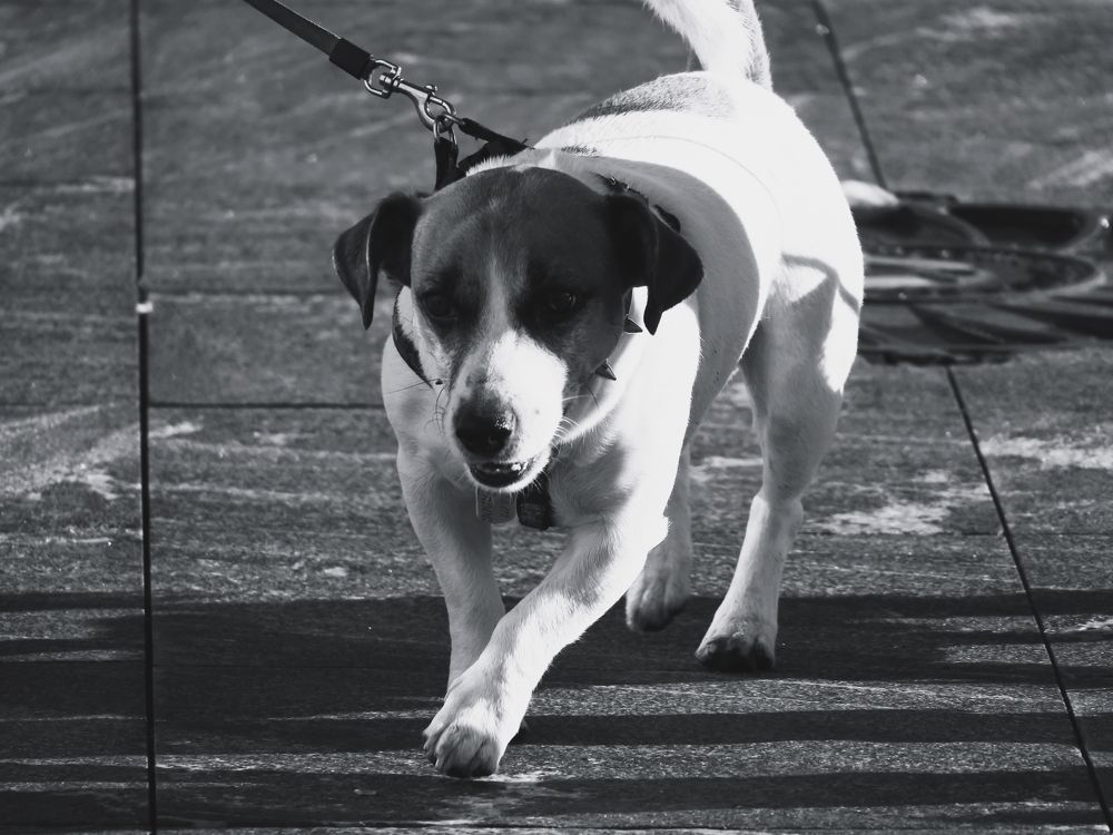 Photograph by Мария Смирнова