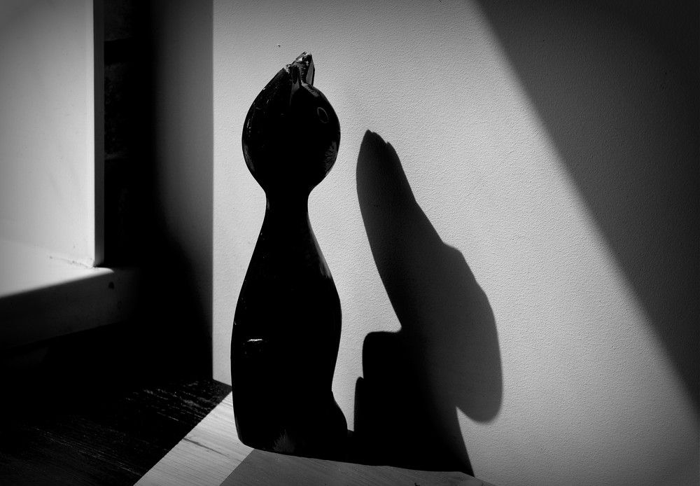 Photograph by Жанна Валиева