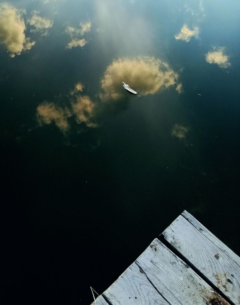 Photograph by Krystyna