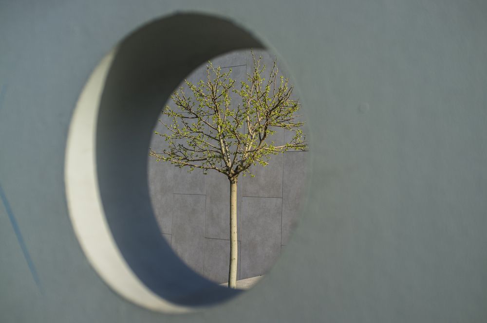 Photograph by Rustam Huseynov