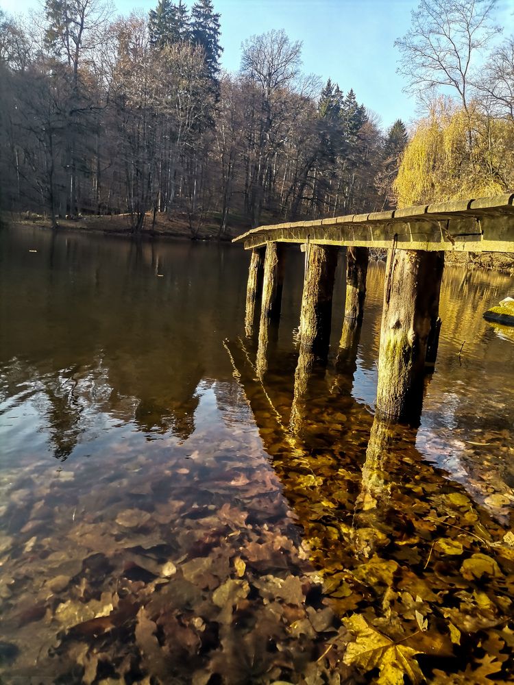 Photograph by Алина Цилык