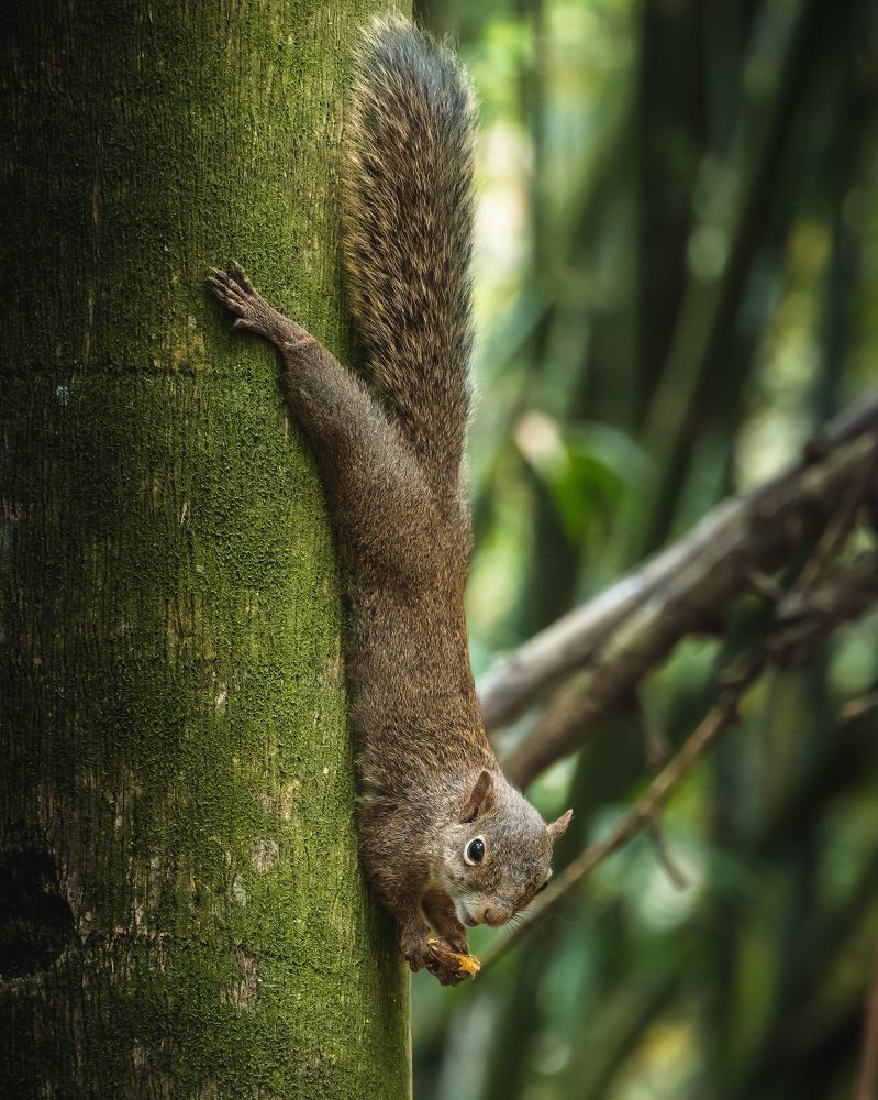Photograph by João Paulo de Oliveira Freitas