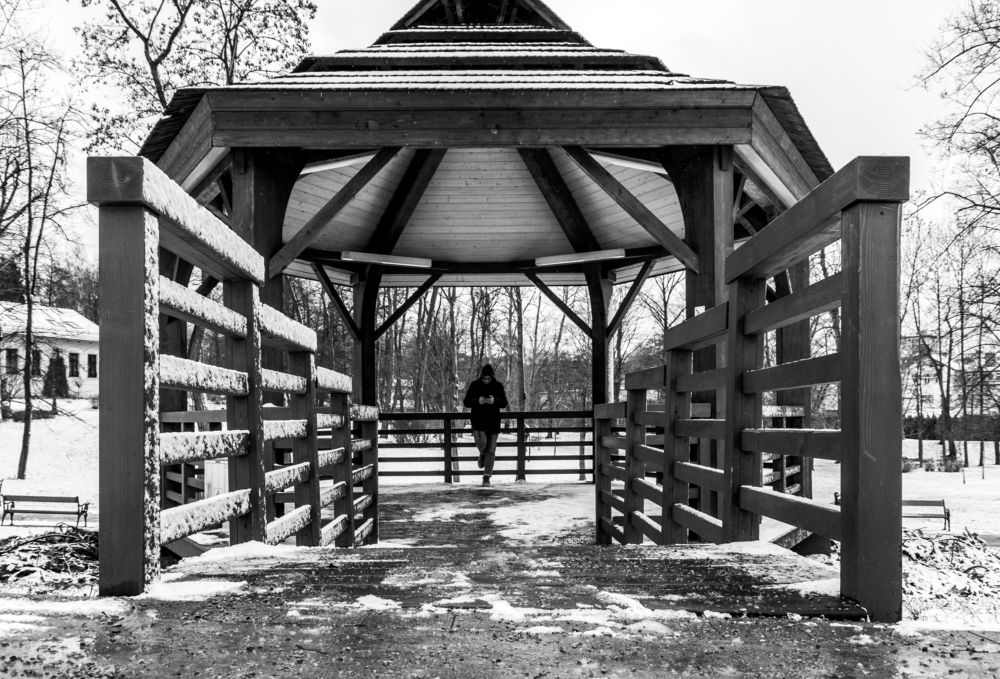 Photograph by Olena Dedova