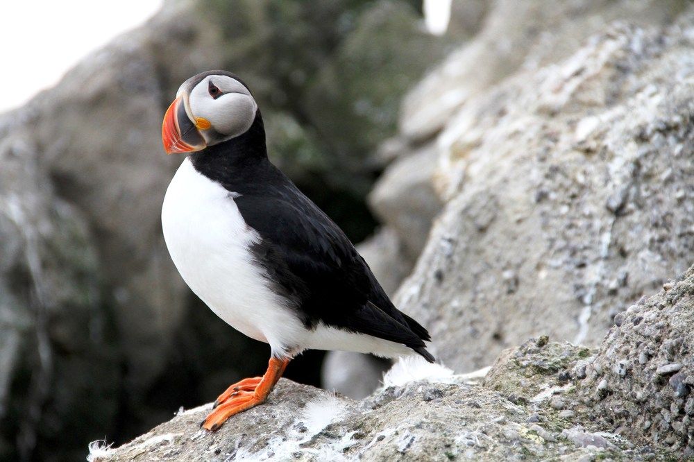 Photograph by вадим захарьин