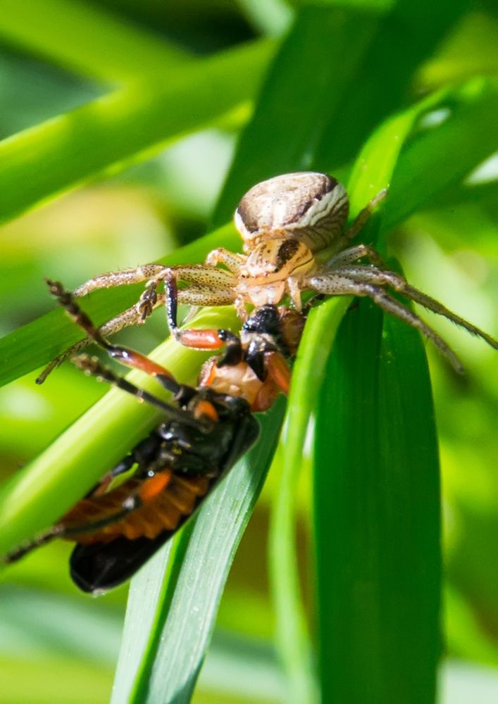 Photograph by Алёна Землянухина