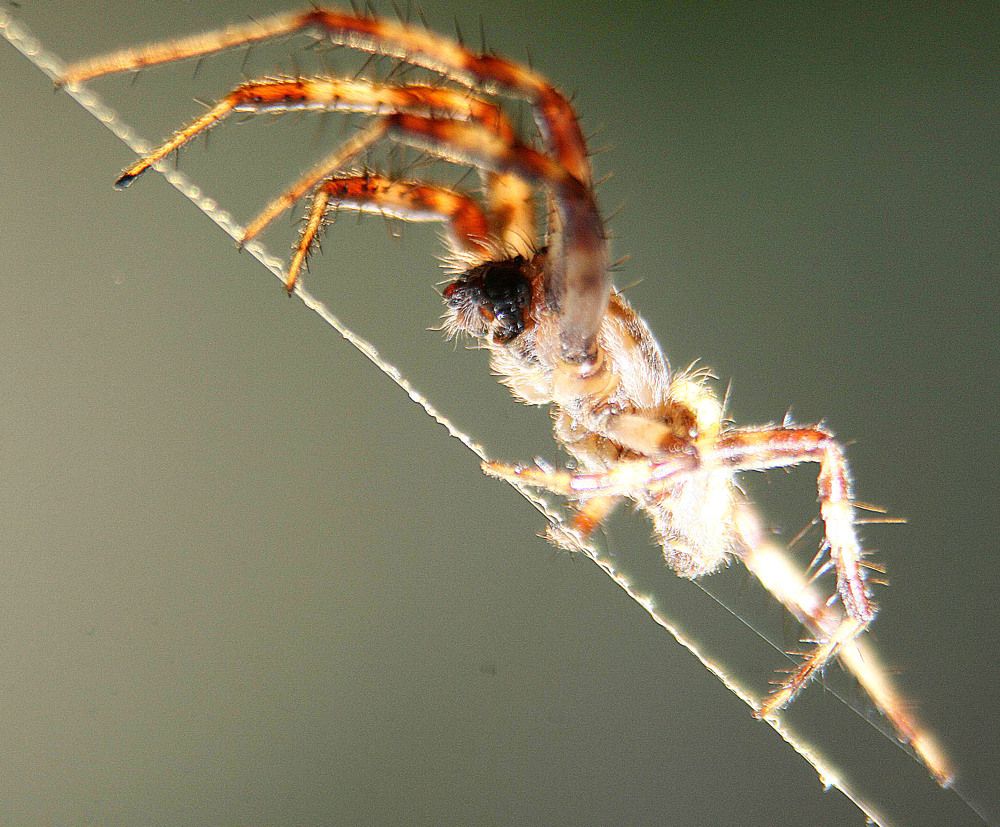 Photograph by Юрий Нестеренко
