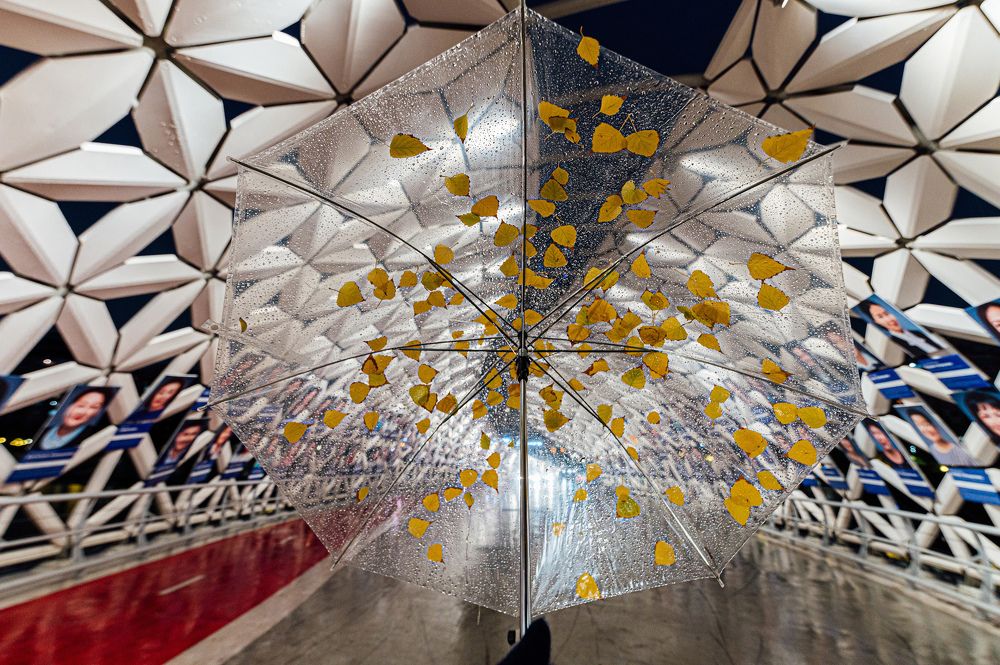 Photograph by Александр Филипенко