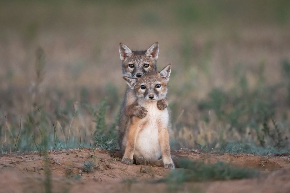 Photograph by Дмитрий Архипов
