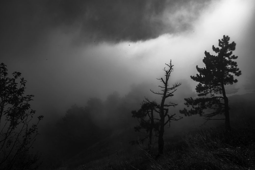 Photograph by Tkachenko Anastasia