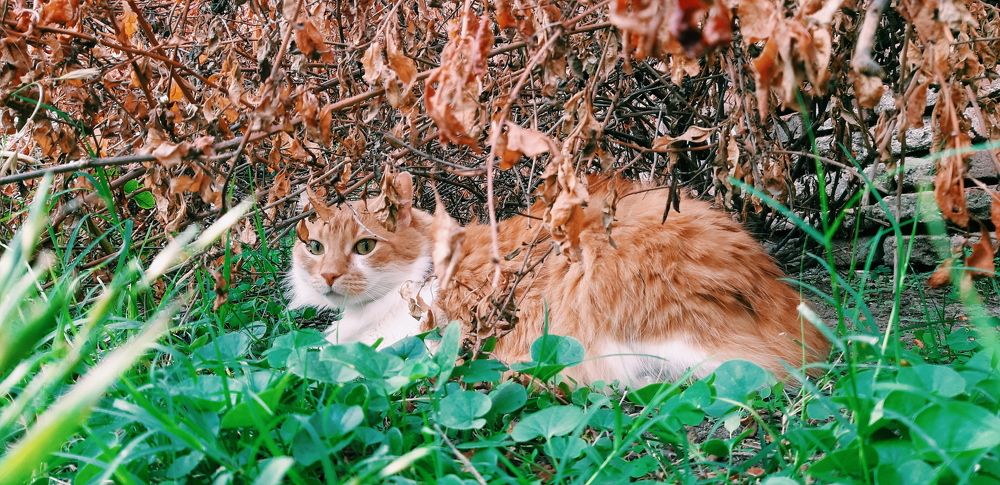Photo #7201819