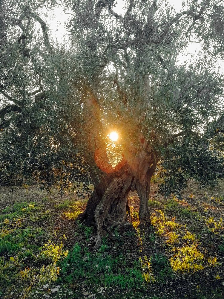 Photograph by Domenico Marrano