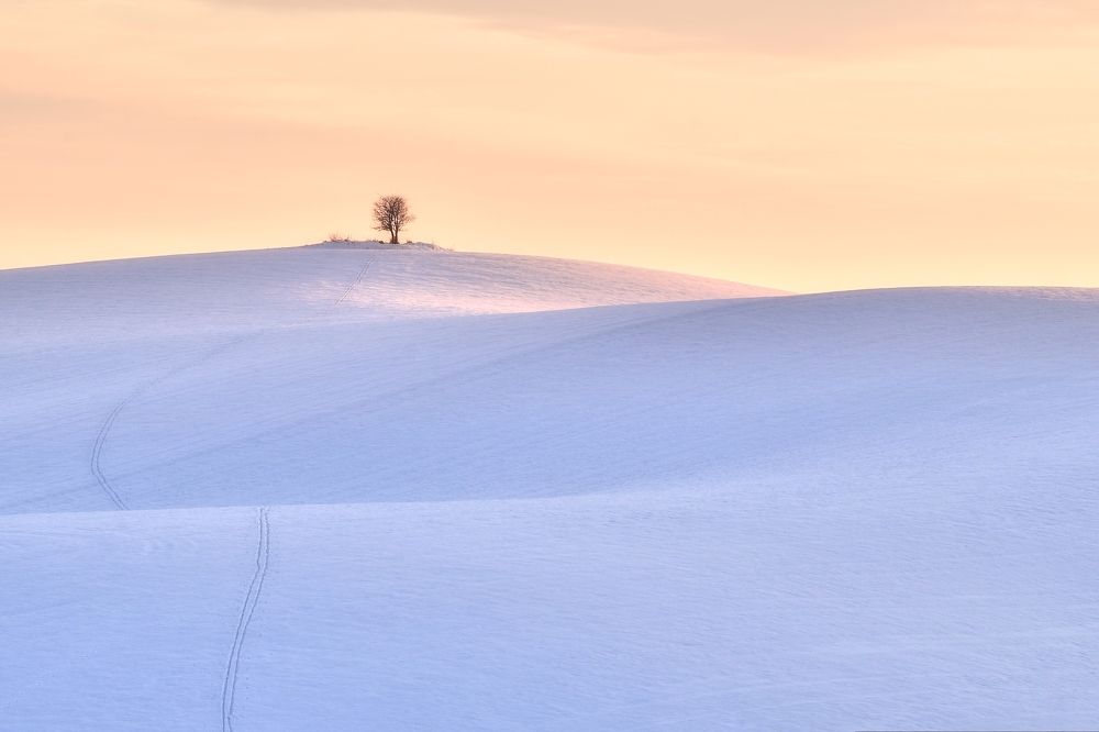Photograph by Andrea Šrotová
