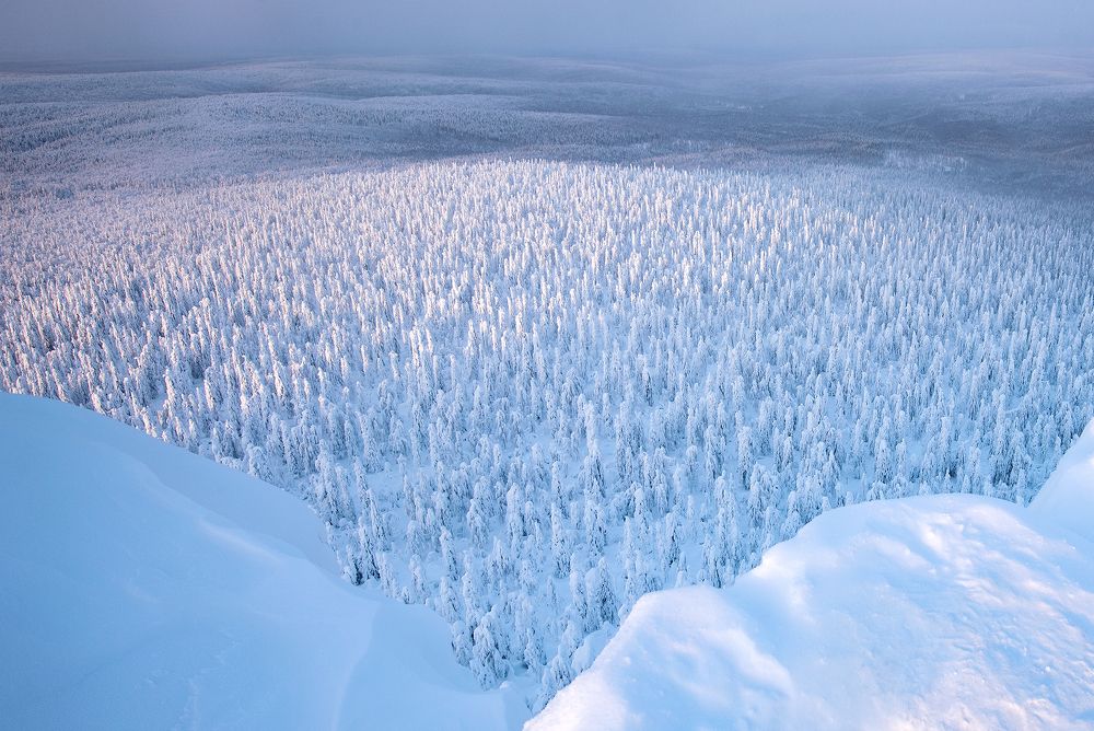 Photograph by Сергей Сынтин