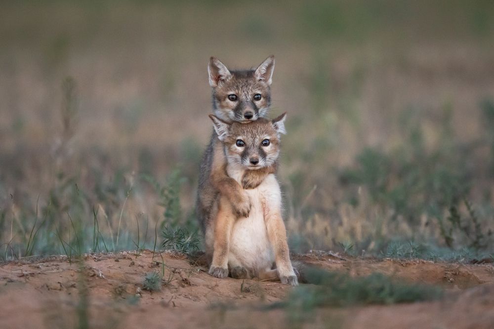 Photograph by Дмитрий Архипов