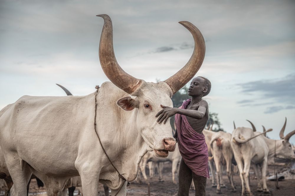 Photograph by Дмитрий Архипов