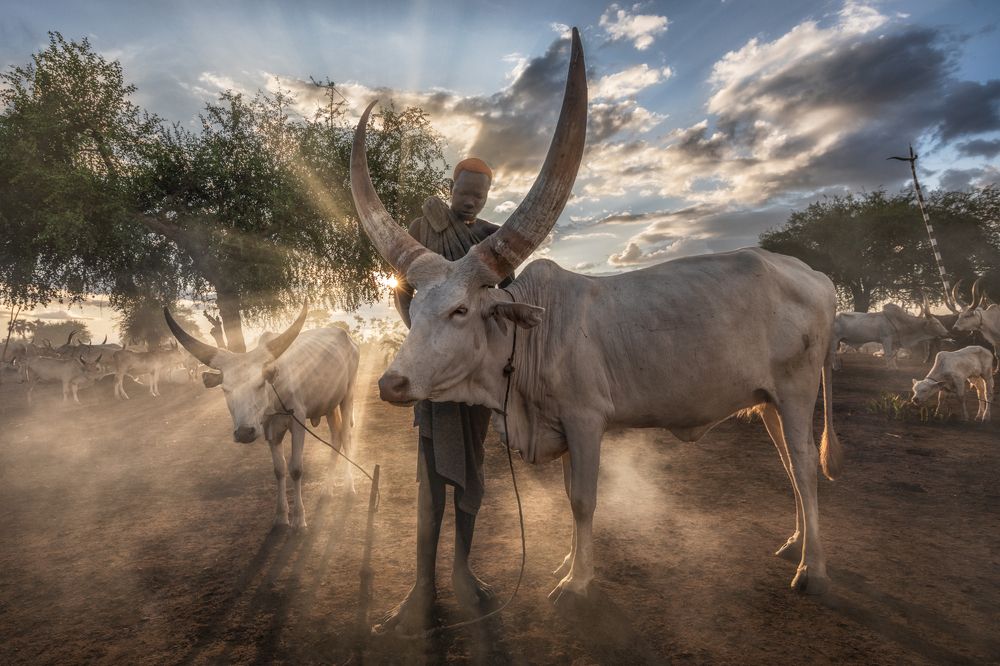 Photograph by Дмитрий Архипов