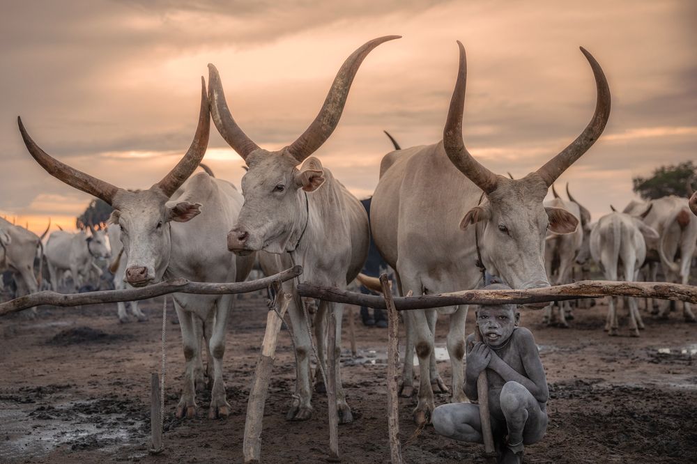 Photograph by Дмитрий Архипов