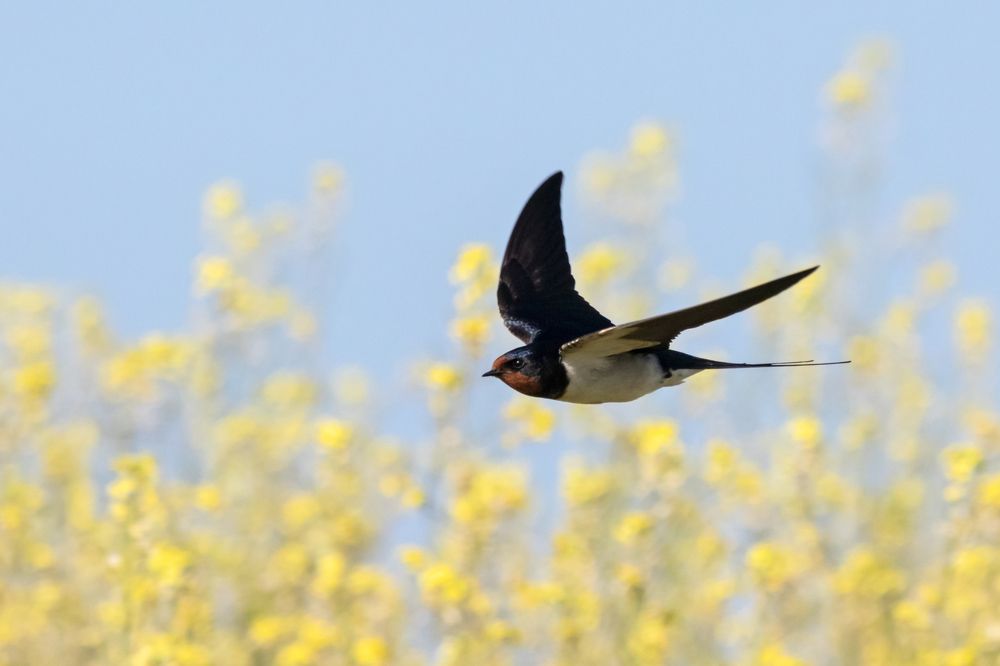 Photograph by Антон Мироненко-Маренков