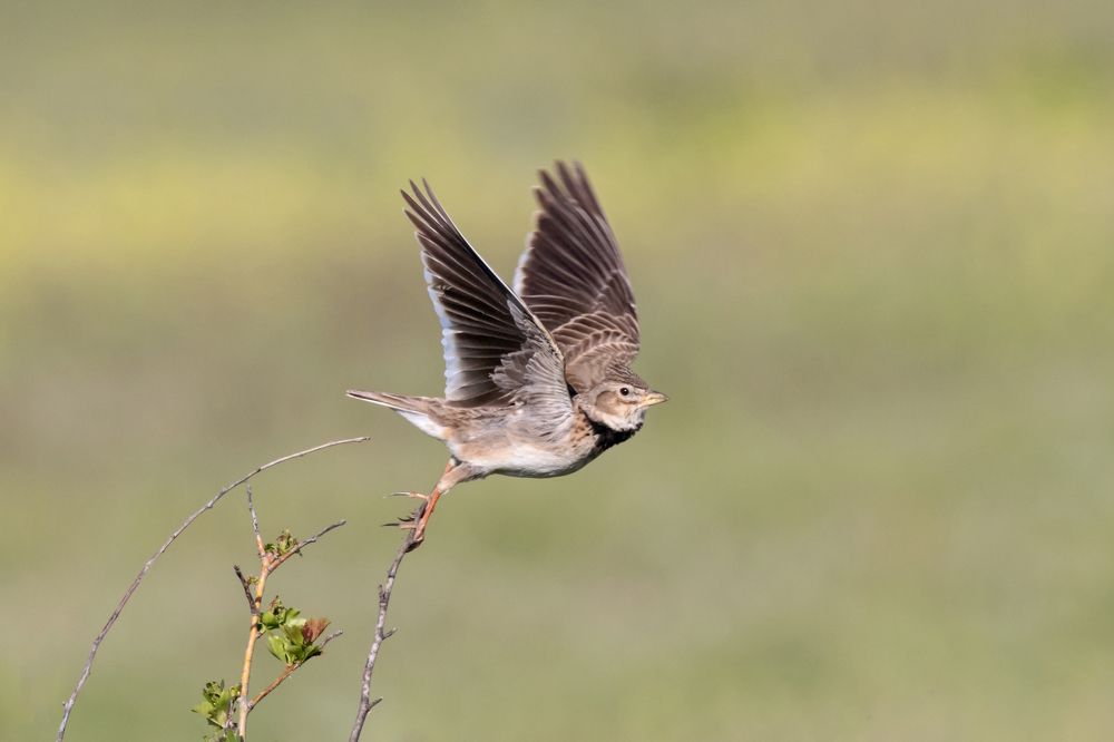 Photograph by Антон Мироненко-Маренков