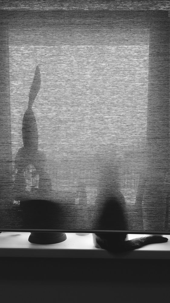 Photograph by Андрей Родионов