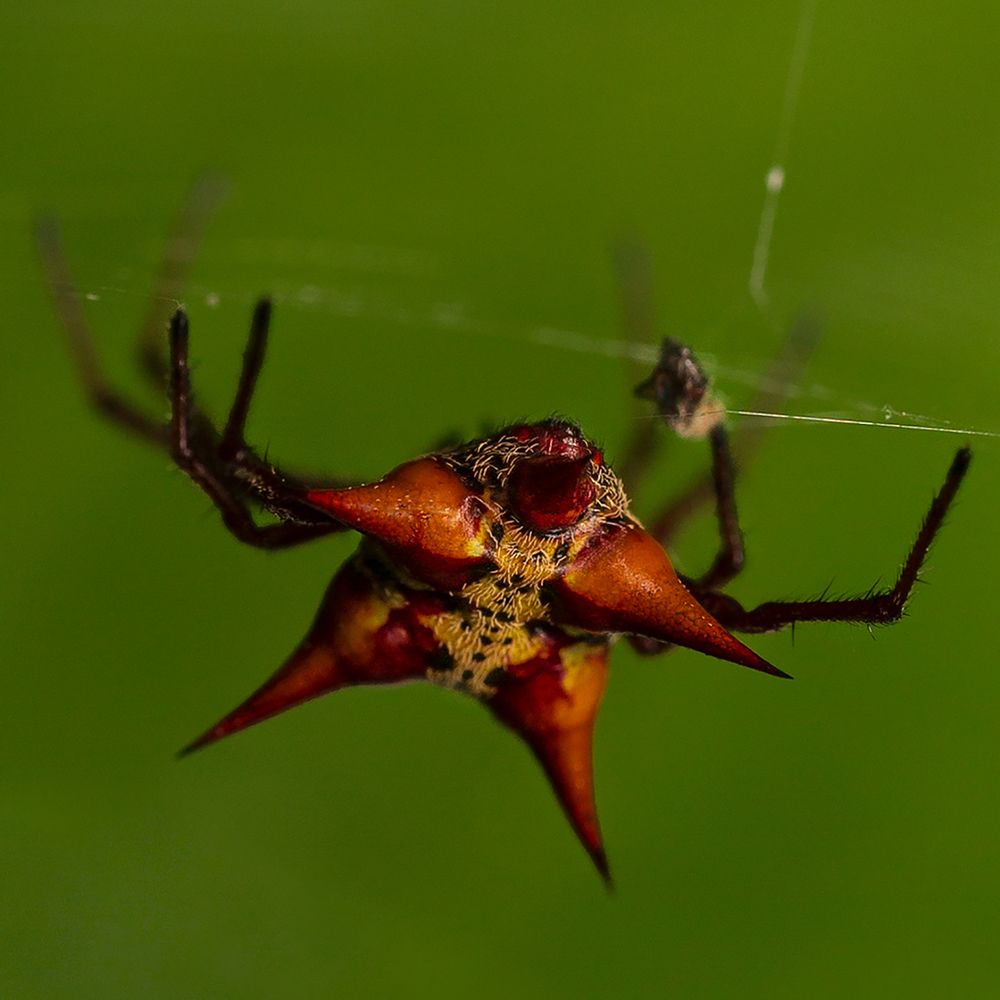 Photograph by eli gesualdo