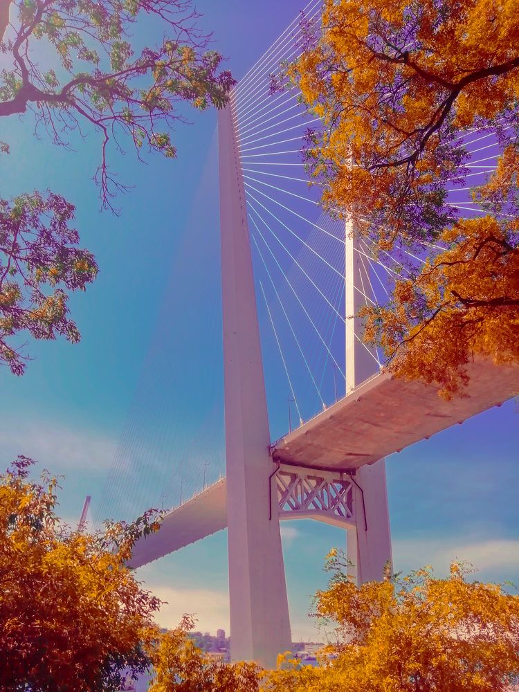 Photograph by Дарья