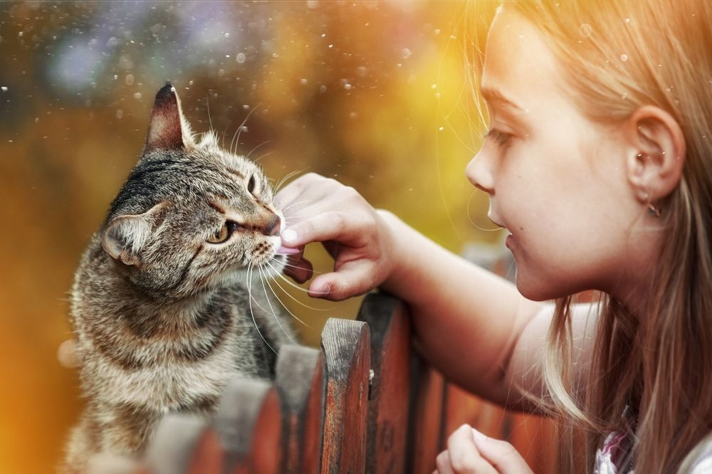 Photograph by Анастасия Голубева