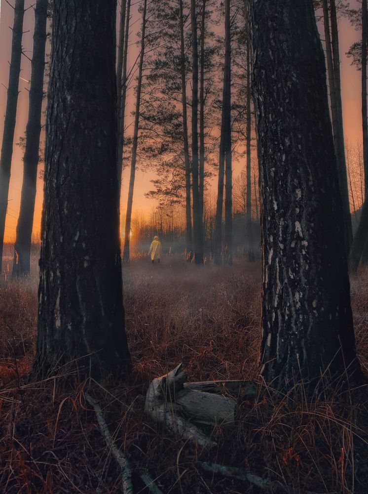 Photograph by Евгений Федичкин