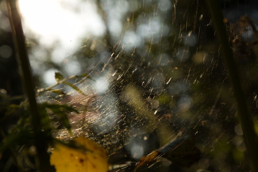 Photograph by Борис Баринов