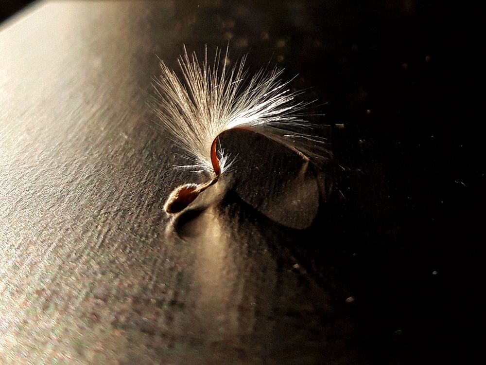 Photograph by Анжелика Медведева