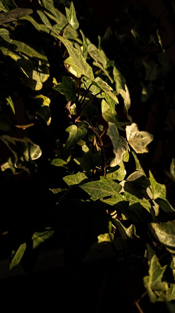 Photograph by Kate Hondochka