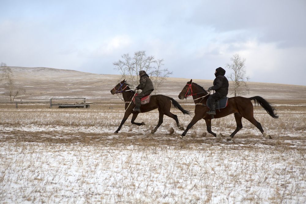 Фотография автора Светлана Барнадаева