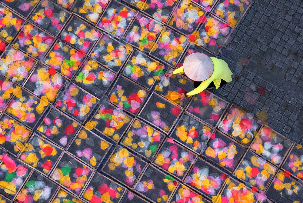 dried bodhi leaves bones