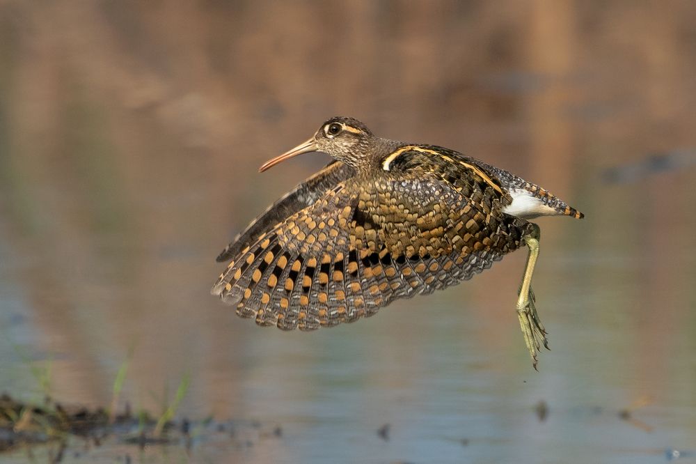 Photograph by gowathaman ganesan