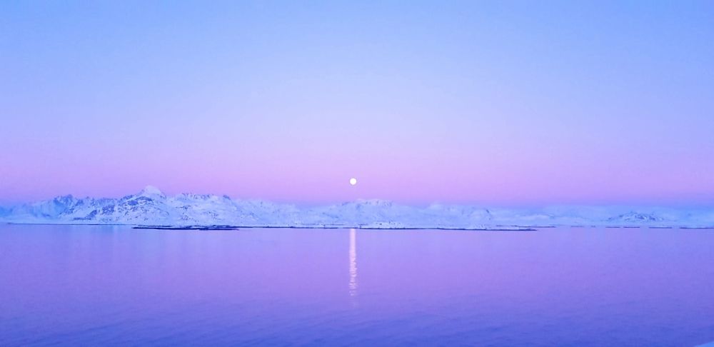 Photograph by Elisabeth Vinther