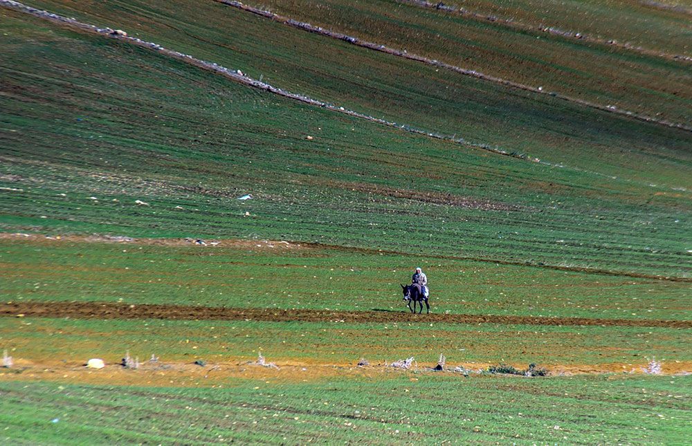 Фотография автора Ismail SAIDI